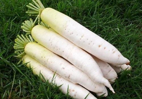 梦见吃小李瓜,揭秘吃小李瓜的神秘寓意