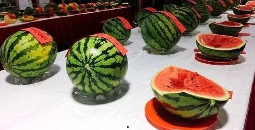 吃瓜空空短剧,揭秘娱乐圈背后的秘密