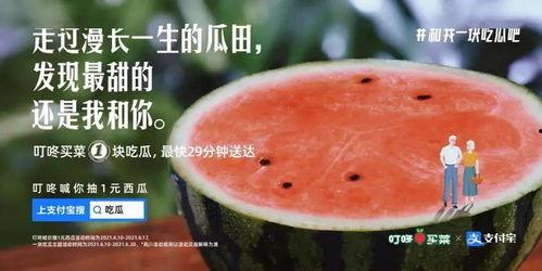 瓜田持续吃瓜,持续吃瓜的欢乐时光