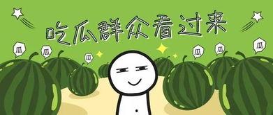 大学生暑假吃瓜,盘点热门话题与趣味事件