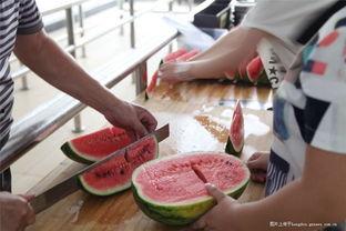 直接在画室吃瓜,一起品味瓜果香