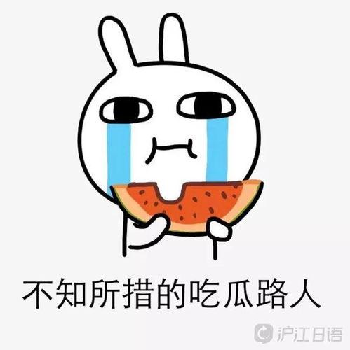 罗罗布吃瓜,揭秘娱乐圈背后的秘密与真相