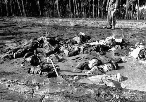 瓜岛战役日军吃女人,日军食人真相揭露