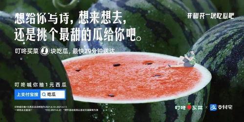 端午吃瓜文案,解锁传统美食新吃法