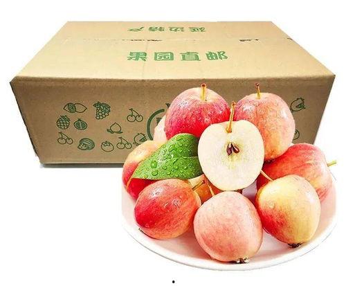 夏日吃瓜礼盒水果