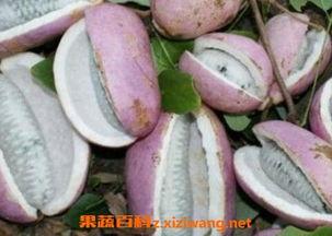 恩施吃瓜新闻视频,揭秘当地奇特事件背后的真相