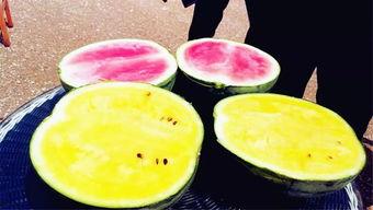 吃瓜视频今日大瓜