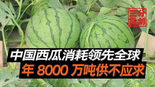 国内有什么瓜吃,一网打尽最新“瓜”料