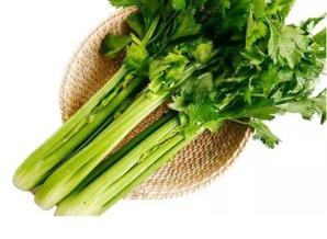 茄瓜跟芹菜吃中毒,揭秘食物中毒的惊人真相”