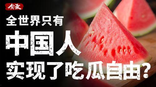 吃瓜自由已实现,全民娱乐新篇章