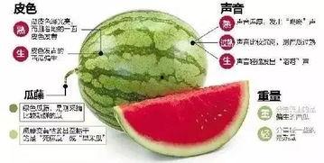 吃瓜微信背景,微信背景下的趣味解读