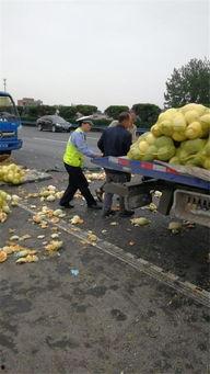 吃瓜吃到毒爆车,竟引发毒爆车惨剧！