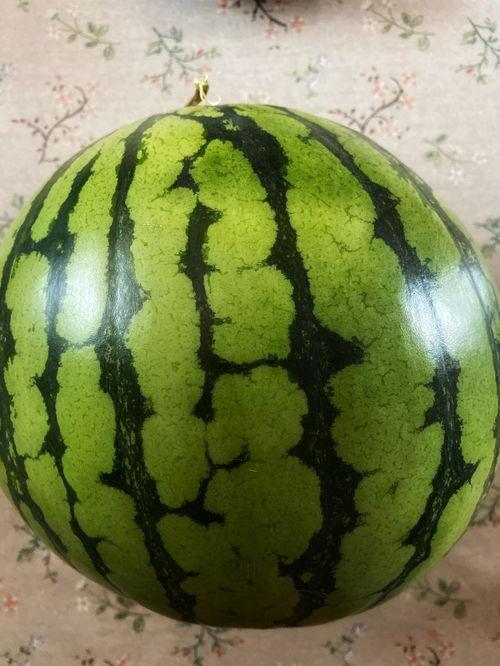 怎么表演吃瓜,揭秘如何成为吃瓜界的表演高手