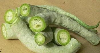 吃蛇瓜吃到崩溃