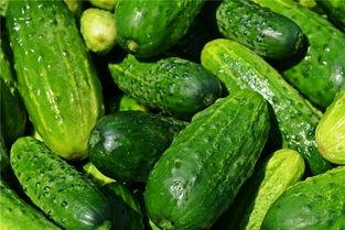 梦见吃老红瓜,揭秘吃老红瓜的神秘寓意