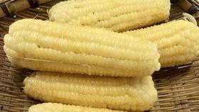 地里掰玉米吃瓜,地里掰玉米，田间吃瓜乐