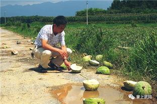 邵阳朋友圈吃瓜