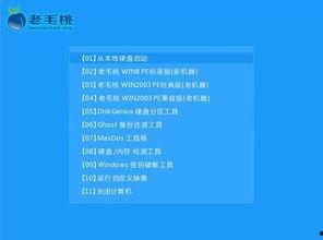 吃瓜系统现代,现代网络社交的“瓜田”奇观