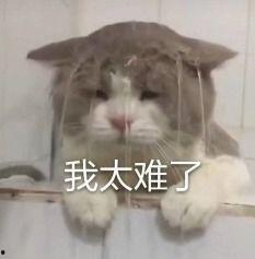 内娱吃瓜原声,揭秘娱乐圈幕后故事