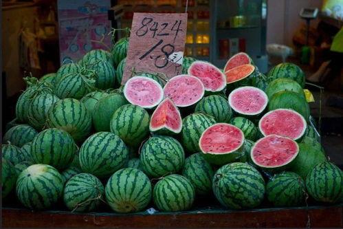 人民吃瓜人类吃瓜,社会现象的演变与反思