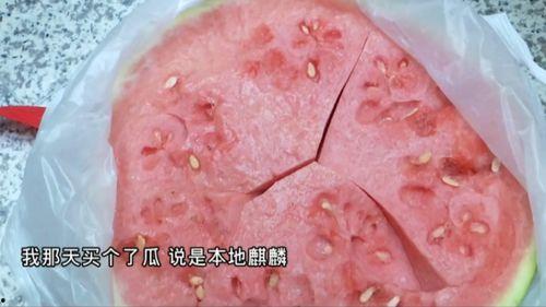 打了疫苗吃瓜大肉瓜了,打疫苗后吃瓜大肉的快乐时光