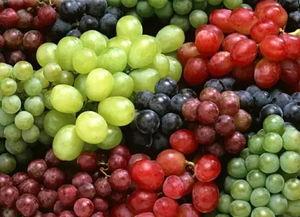 吃瓜不吐葡萄,揭秘娱乐圈的甜蜜与苦涩