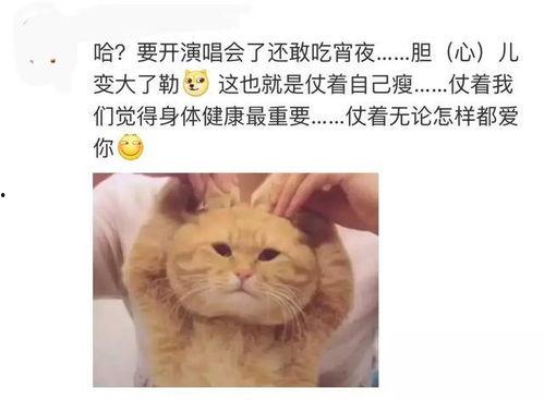 菜路人吃瓜,揭秘娱乐圈幕后故事