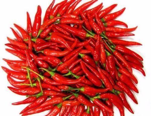 辣椒沾水吃瓜,夏日炎炎辣椒沾水瓜，清爽一夏新体验