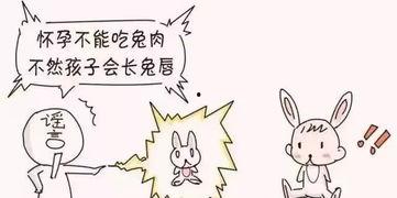 孕期可以吃兔儿瓜