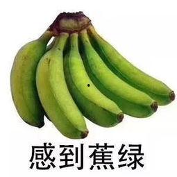 蕉蕉吃不饱吃瓜,探寻水果界的美食奥秘