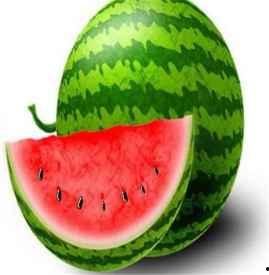 吃小白瓜会上胖吗,吃它真的会发胖吗？