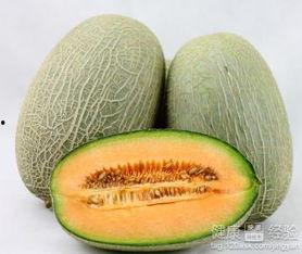 吃哈密瓜养胃吗,美味与健康的完美结合