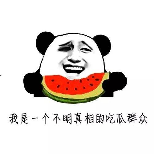 聊天吃瓜的,社交新潮流背后的故事