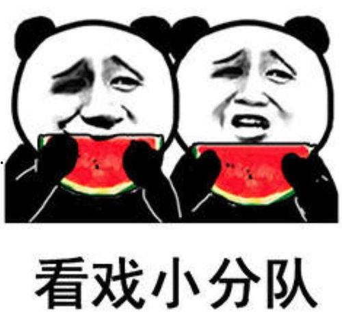 大家吃瓜表情包图片