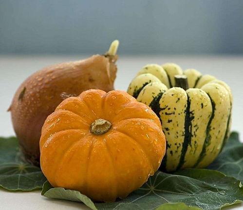 吃瓜和南瓜,探寻吃瓜与南瓜的奇妙之旅