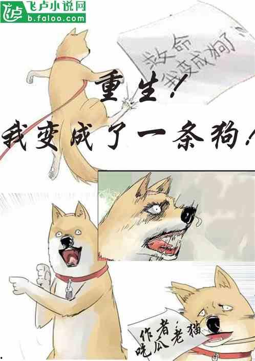 吃瓜茶艺小说全文阅读,宫廷秘闻与江湖恩怨的交织