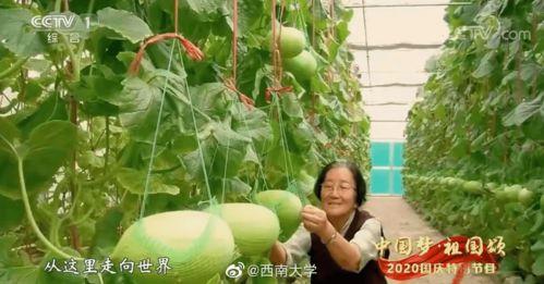 uki自由吃瓜基地,揭秘网络热点的幕后故事