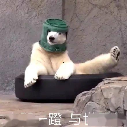 沙雕鲨鱼吃瓜头像