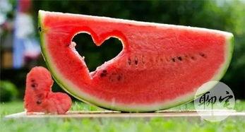 免费的吃瓜,揭秘娱乐圈幕后故事